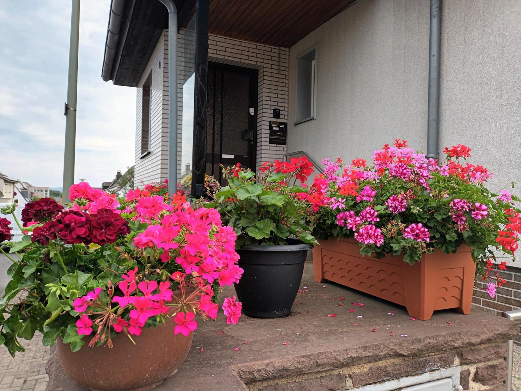 Ferienwohnung Kassel Luaran gambar